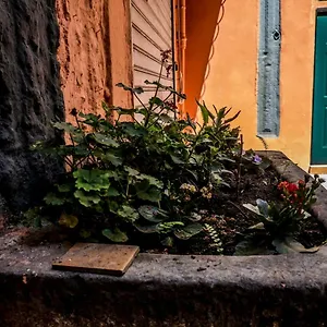 Little House , Napoli Italia